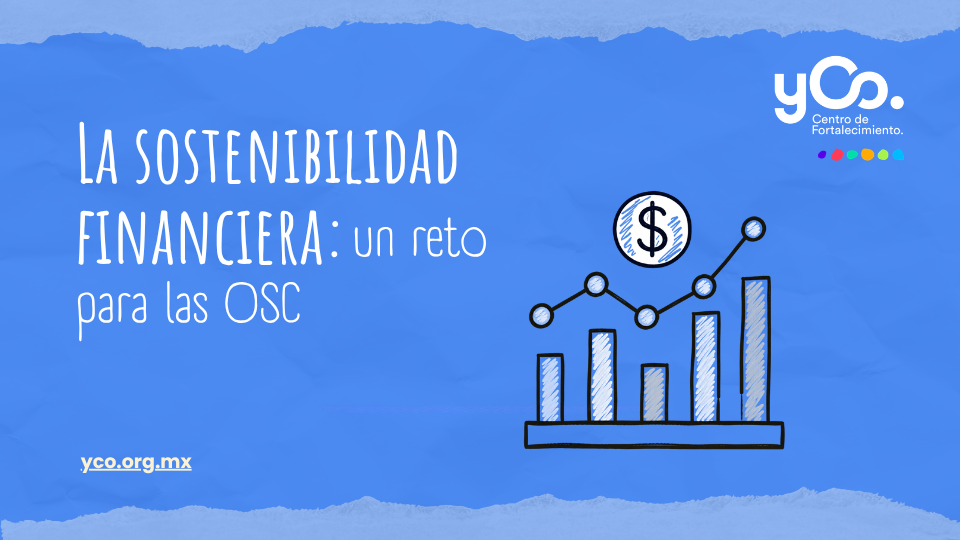 sostenibilidad financiera osc